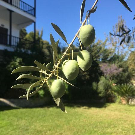 דירות וורוורו Nikos & Panagiota מראה חיצוני תמונה