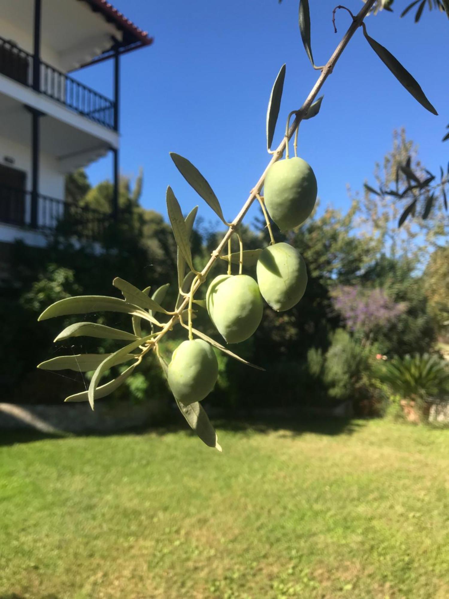 דירות וורוורו Nikos & Panagiota מראה חיצוני תמונה